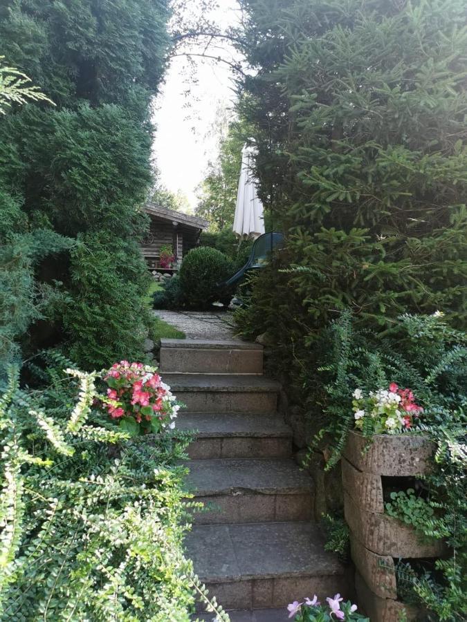 Haus Am Bach Apartment Kirchberg in Tirol Bagian luar foto