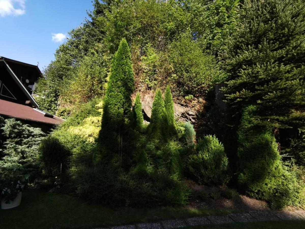Haus Am Bach Apartment Kirchberg in Tirol Bagian luar foto